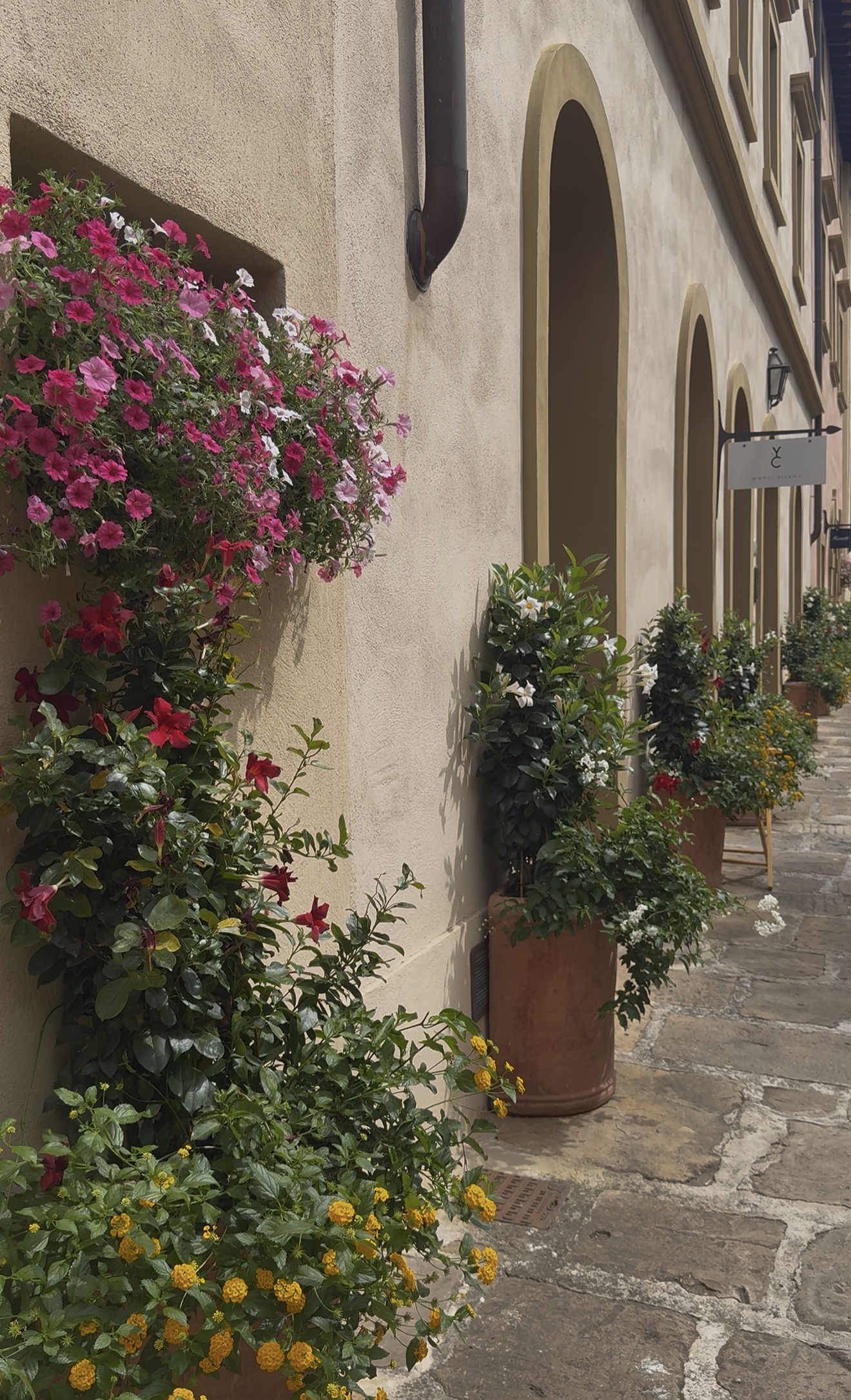 Flowers against a Tuscan stone wall